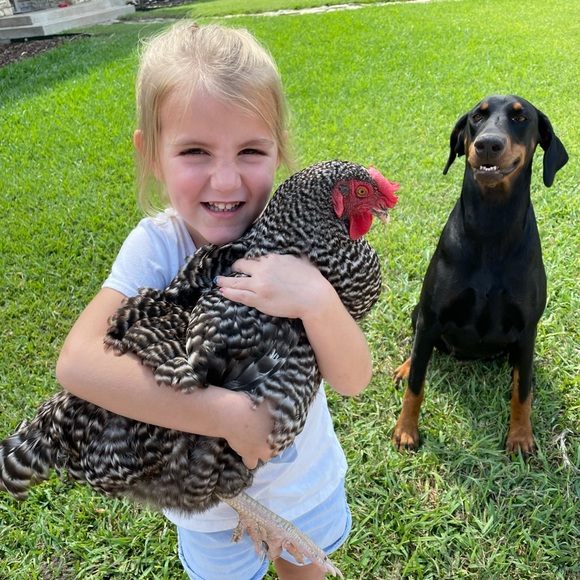 Meet your Posher, Randi - Picture 4 of 5